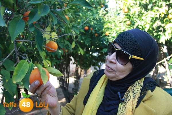 ibtesamat n0130 (3).JPG